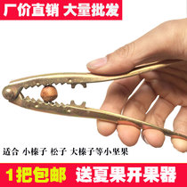 Hazelnut clamp nut pliers pine nut opening tool pecan pliers dried fruit fruit opener factory price direct sale