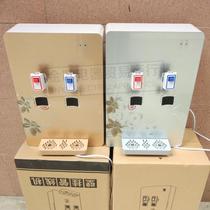 New wall-mounted pipeline machine water purifier assorted double-dragon head wall-mounted pipeline water dispenser anti-dry-heating intubation machine