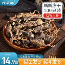 Quail freeze-dried cat snacks nutrition and fat supplement calcium hair cheek cat snacks grinding teeth into baby cat food raw meat cat
