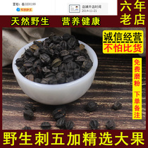 Northeast wild Acanthopanax Chinese Herbal tea Acanthopanax fruit Premium acanthopanax seeds help sleep tea