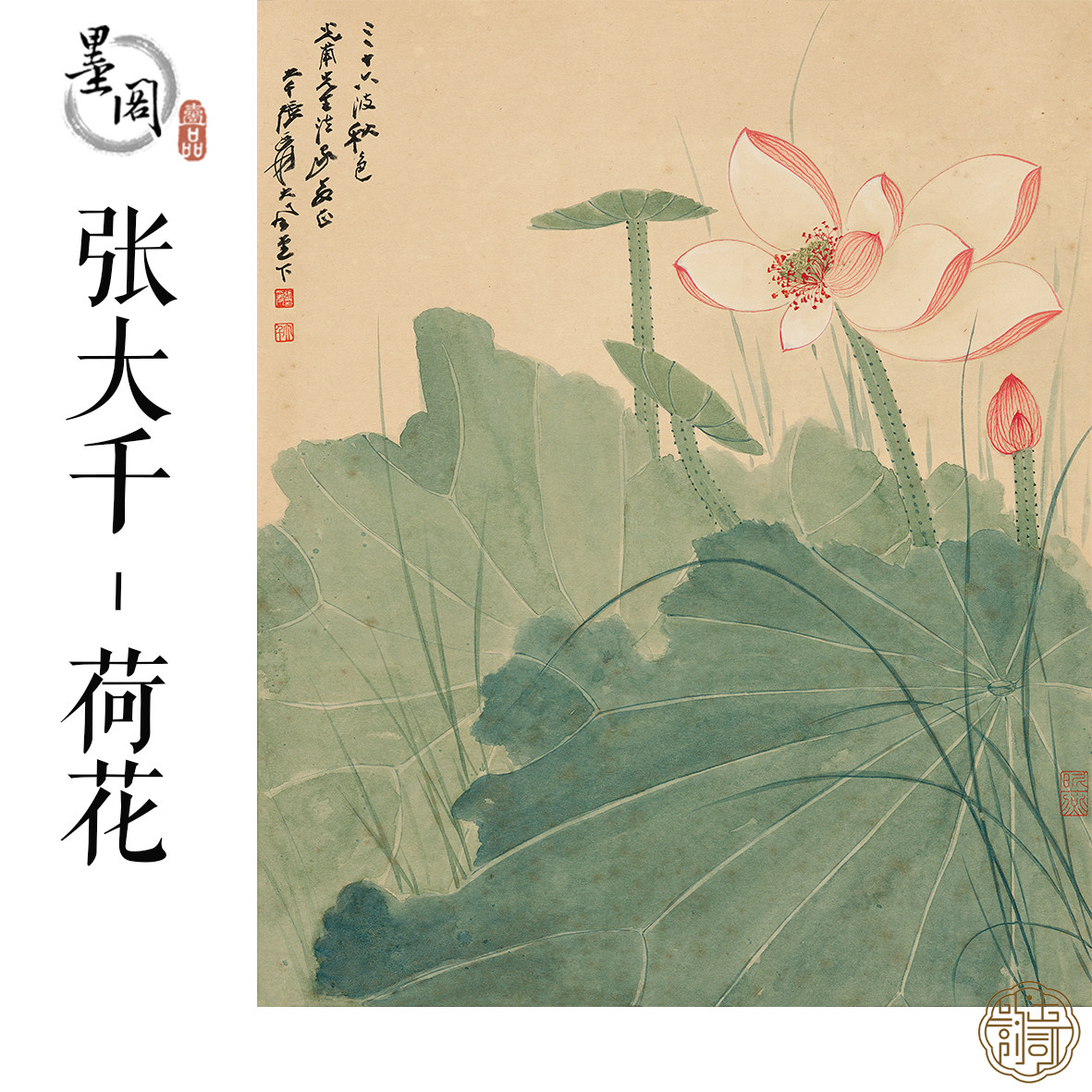 張大千 嘉荷図 三尺中堂掛け軸 中国掛軸 花鳥画 宣紙装裱 証書付き