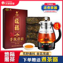 Jiuyang Hunan Anhua Black tea First-class authentic wilderness Chunjian material hand-built Fu brick tea Anhua Jinhua Black tea