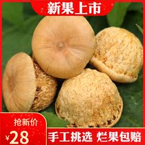 Chinese herbal medicine Fengluo Fruit Wild Balconi Tianzhu Grain Liquor 500g