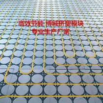 Dry module special backfill-free insulation board 20-tube Universal can be extruded template module floor heating efficient and fast heating