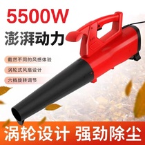 Powerful Dust Blower Lithium Electric Storm Blower of Powerful Dust Blower in Handheld High Power Hairdryer Industry blow up leaf blower