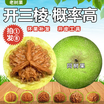 南疆石文玩核桃-南疆石文玩核桃促销价格、南疆石文玩核桃品牌- 淘宝