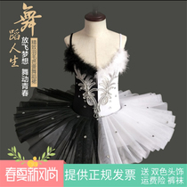 Childrens ballet dress Little Swan dance dress tutu tutu dress girl lace ballet dance performance suit