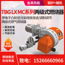 Baide TBGLXMC with electronic cam progressive modulation adjustment two-stage gas burner for gas boilers