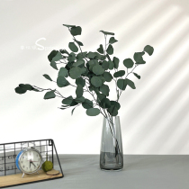 Eucalyptus apple eucalyptus round leaves imported dried flower tree leaves Nordic immortal flower model room light luxury decoration double eleven