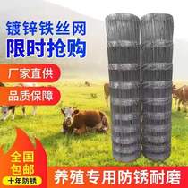 Hot dip galvanized barbed wire sheep fence fence wire mesh net blocking cow & gate wang home fence