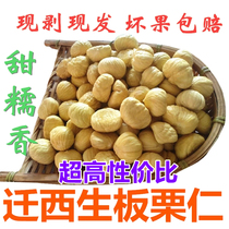 Peeled raw chestnut kernels Qianxi raw chestnut kernels Fresh vacuum chestnuts Shelled chestnut meat Peeling raw oil chestnut kernels
