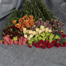 Dried flowers Natural real flowers Carnations Living room decoration Retro floral study table placement with flowers diy Nordic style
