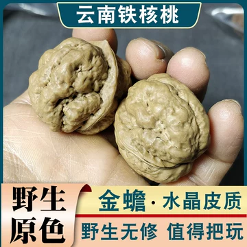 蛤蟆头野生文玩核桃-蛤蟆头野生文玩核桃促销价格、蛤蟆头野生文玩核桃