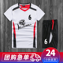 Short-sleeved volleyball suit suit Mens and womens sleeveless team uniform Air volleyball suit training game suit custom printing number