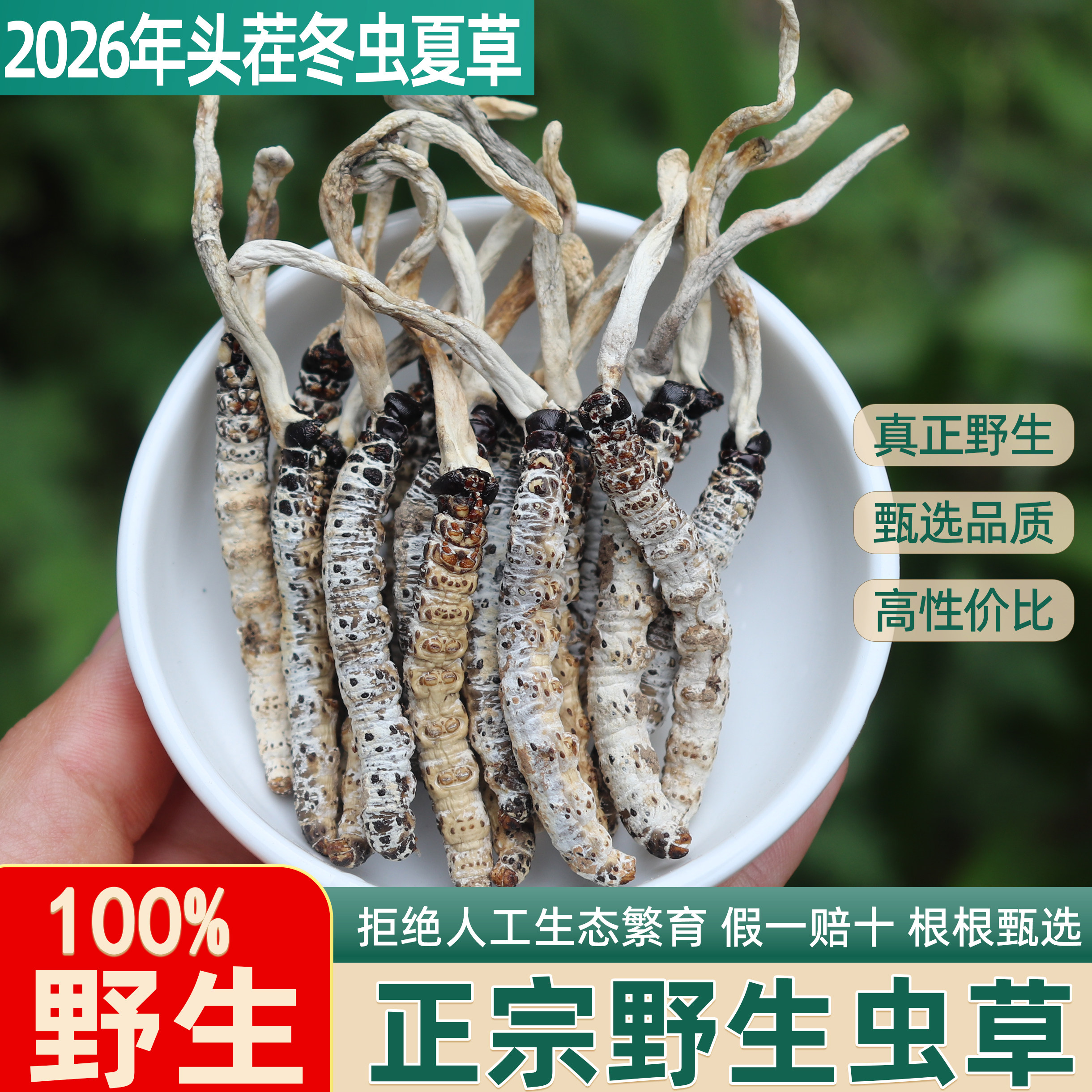 2026头茬冬虫夏草-2026头茬冬虫夏草促销价格、2026头茬冬虫夏草品牌- 淘宝