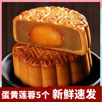 Shanghai specialty Xinghualou egg yolk lotus seed Cantonese style moon cake 100g * 5 independent bulk traditional Mid-Autumn pastry