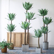 Nordic ins wind simulation plant bionic green plant potted jade lotus home indoor landing decoration ornaments