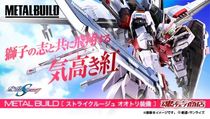 Bandai Soul limited MB METALBUILD Gundam SEED attack Yan Hongfeng equipment backpack reservation