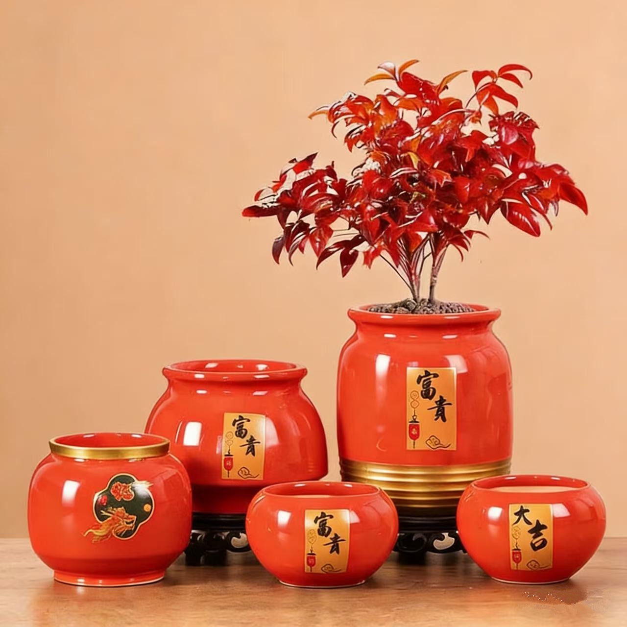 花びら型 赤色 陶器 盆 红色陶瓷花盆小号-红色陶瓷花盆小号促销价格、红色陶瓷花盆小号品牌- 淘宝