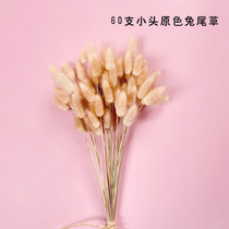 Ins wind primary color rabbit tail grass dried flower bouquet home living room study desktop decoration flower arrangement creative gift props