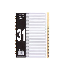 Rich fast 31 pages FD3100 plastic sorting paper sorting card index paper sorting