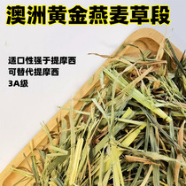 (Spot)Xiaotujia 3A grade Australian wheat 500g imported Australian golden Oats grass section rabbit hay feed