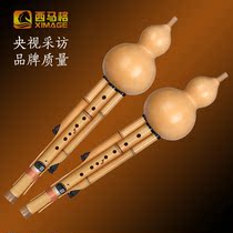 Ximage Nine-hole Hulusi Musical Instrument Beginner C Down B- tone Jinzhu 9-hole Hulusi Professional Performance Type
