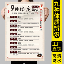 Nine kinds of physique posters in Chinese medicine