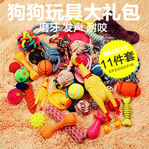 Pet dog dog toy supplies bite-resistant molars puppies Teddy Koji than bear toy ball puppies puzzle puppies