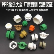 PPR plug 4 minutes 6 minutes 1 inch outer wire plug 20 25 32 ppr inner wire outer tooth plastic pipe plug cap accessories