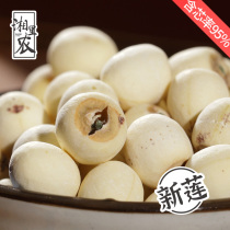 Xiangli Nongda special grade core white lotus seed dry goods 500g Xiangtan specialty sulfur-free Belt heart grinding new goods Xianglian