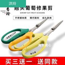 (Buy three get one free)Wang Wuquan 2108 tilting scissors Grape repair fruit picking scissors Sagawada elbow fruit and vegetable scissors
