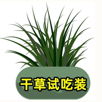 (various hay to try and eat) clover grass nanti Moses small wheat grass barley fruit tree grass oatmeal six portions
