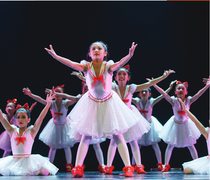 The 9th Little Lotus Style Star Wish Dance Performance Dress Fly Higher Girl Princess White Gauze Dress Child