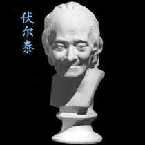Voltaire gypsum head figure 50CM gypsum model art teaching aids textbook art exam sketch still Life Sketches