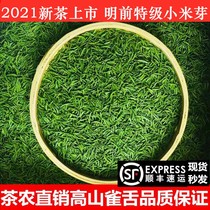 Sag Tongue Green Tea 2021 New Tea Bamboo Leaf Fried Green Tea Sichuan Alpine Tea Mingqen Bulk Tai Tea