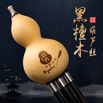 Yunnan Bigbao black sandalwood gourd silk musical instrument flagship store gF tune C down B tune B professional performance type real gourd