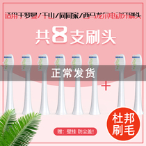 Suitable for Roman electric toothbrush head T3 T5 T10 to replace GM Qianshan Q5 X1 Q7 with the same family Cimaron