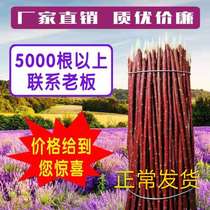 Xinjiang red willow barbecue sign lamb string of red willow barbecue string of red willow barbecue string