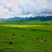 21 prairie live background decorative wall cloth Live studio 3D stereo anchor background cloth Mongolian grassland background cloth