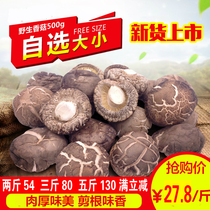 New products listed in Hubei Jingshan farmhouse wild mushroom dry goods 500g meat thick cut root flavor mushroom non-mushroom