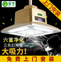 Bird net Mahjong room chess room Air purifier Mahjong room Smoking lamp treasure machine chandelier eliminate secondhand smoke