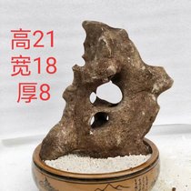 Guangxi mountain family Taihu stone ornaments bonsai with stone Rockery stone stone stone stone Alpine stone A1