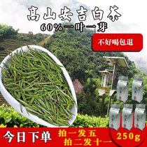 White tea tea 2020 new tea authentic Anji white tea Before the rain premium white tea green tea A total of 250 grams of bulk tea