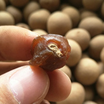 Dried longan dry bulk longan 500g longan meat thick nuclear small dried longan