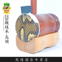 Dunhuang Gaohu 23A sour branch straight Gaohu Beginner (Dunhuang Store)
