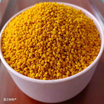Pollen 2021 New Bee Pollen Pure Natural Bottled 500g Fresh Edible Guangchang Lotus Pollen