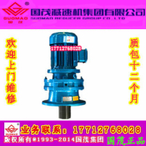 Jiangsu Changzhou Guomao Reducer Group Guomao vertical cycloid needle wheel reducer BLD09-13-0 25-6P