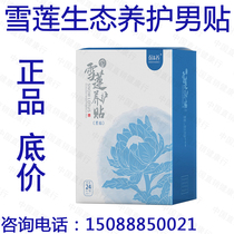 Jin Tian International Snow Lotus Maintenance Male Sticker Upgraded Edition 24 Box Clean Function Maintenance Fu Post