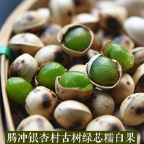 2021 Ginkgo Fresh Ginkgo Tengchong Ginkgo Village Ancient Tree Green Ginkgo Bingguo Yunnan Shelled Ginkgo 500g